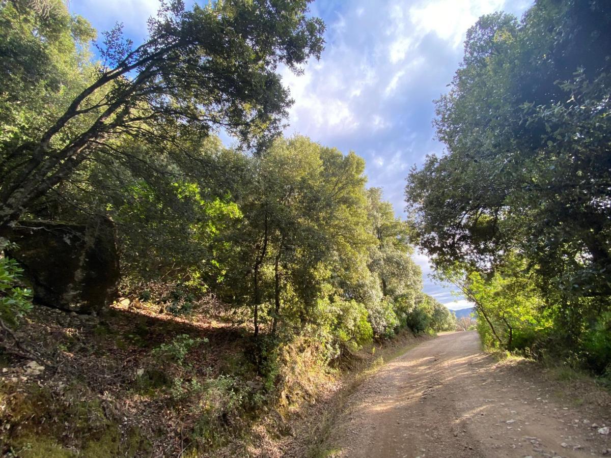 Locanda Tipica Sa Corte أوليينا المظهر الخارجي الصورة