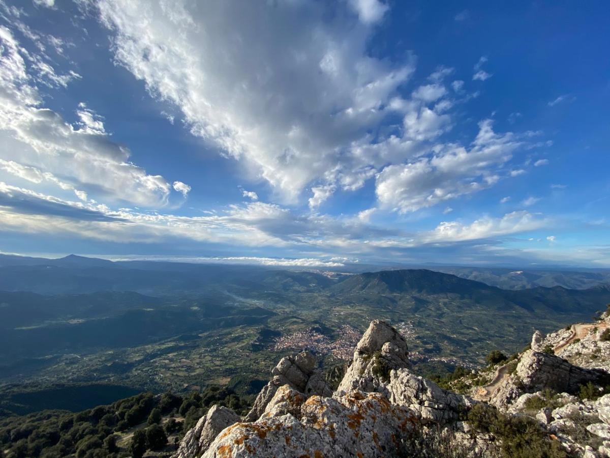 Locanda Tipica Sa Corte أوليينا المظهر الخارجي الصورة