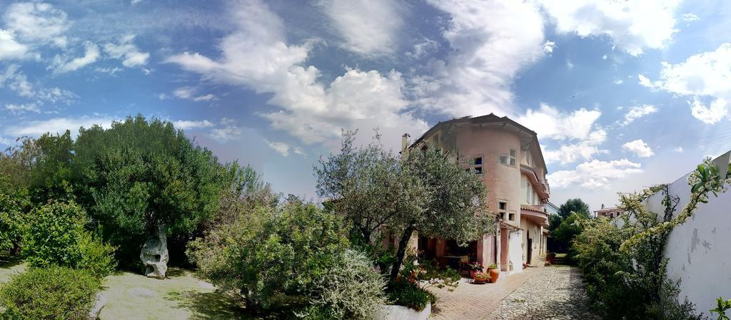 Locanda Tipica Sa Corte أوليينا المظهر الخارجي الصورة